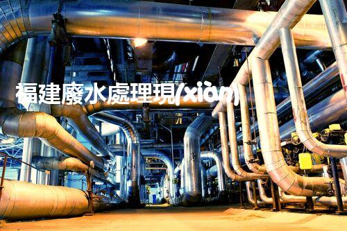 福建廢水處理現(xiàn)狀調(diào)查與未來發(fā)展趨勢(shì)探索？